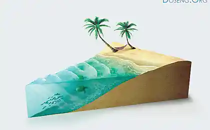 Вот такие пироги