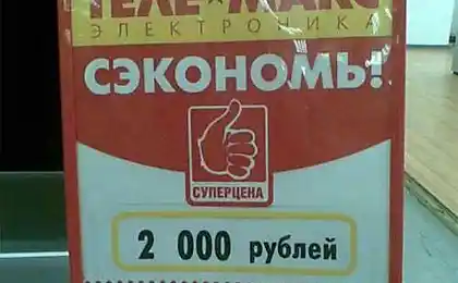 Стем стовпи