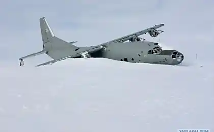 Ан-12, No СРСР-11994, Острів Грахем Белл