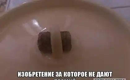 Популярні винаходи