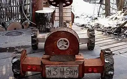 Незвичайний "мерин"