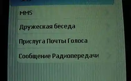 Телефон с китайским переводом