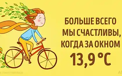 Самый подробный гид по счастью