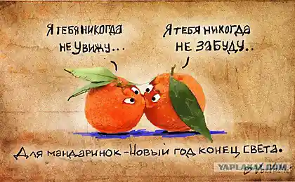 С прошедшим и наступающим