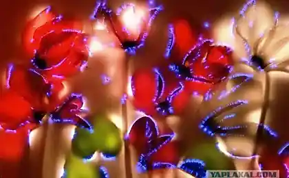 Цветы + электричество