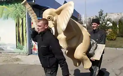 Приколы в фотографиях