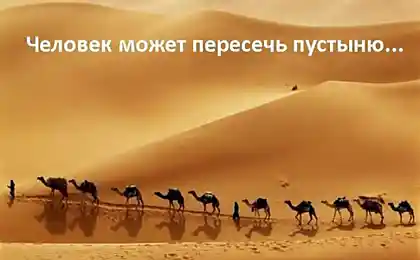 Человеческий парадокс