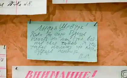 Чат в коммуналке