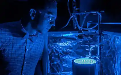 Scientists have learned to purify the air using artificial photosynthesis