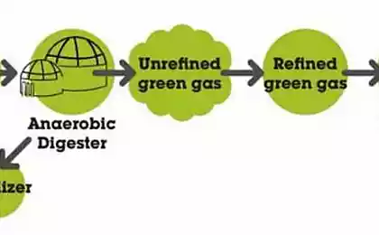 Компания Ecotricity объявила о планах по добыче метана из травы