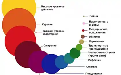 Найпоширеніші причини смерті в одному малюнку