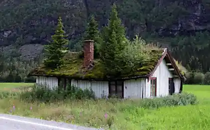 Крыши в Норвегии (12 фотографий)