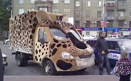 КотоГазель