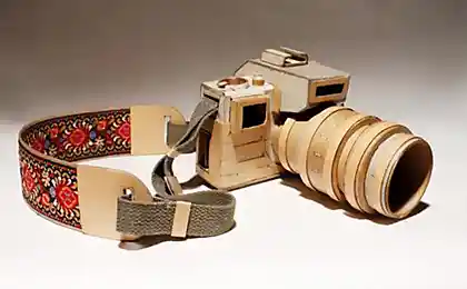 Камеры из картона (9 фотографий)
