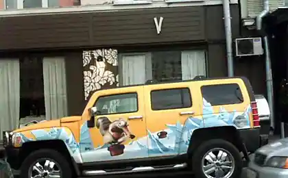 Джып !!