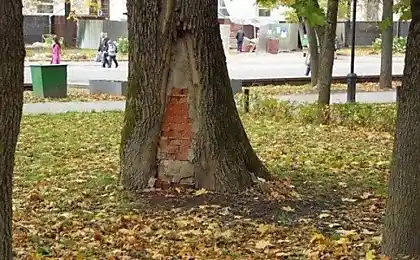 Величезний вибір смішних фотографій