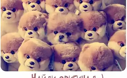 Тест на внимательность ....))))