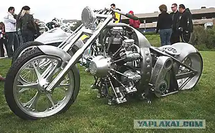 Незвичайний ясен, двоколісний.