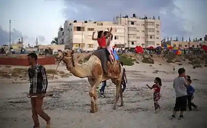 Кубок в Secter Gaza Телефон Руйн