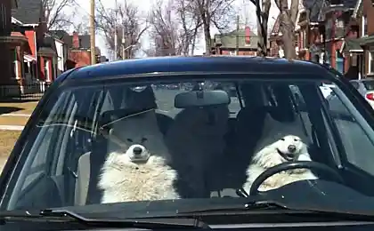 Ну, поехали?