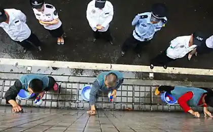 Наказание за расклейку объявлений (5 фотографий)