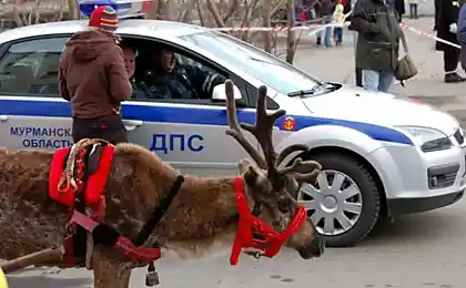 За неправильную парковку