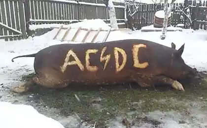 І не Metallica?