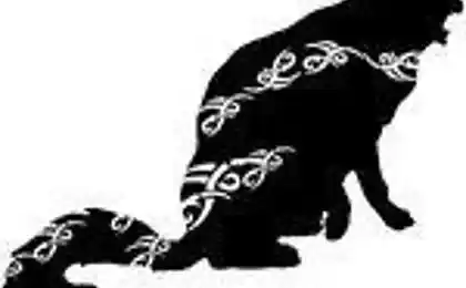 Zodiac Signs In Celtic calendar and their meanings