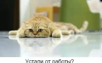 Рабочий бодрячек