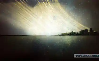 Выдержка - 1 год