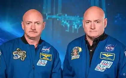 One twin left on the Earth, and the second spent a year in space. And that's what it became