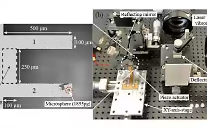 Японские учёные сконструировали нановесы