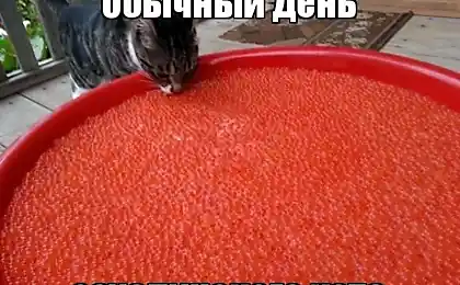Обычный день..