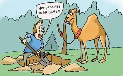 Попытка - не пытка