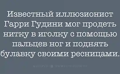 Десятка интереснейших фактов, о которых вы ещё не слышали