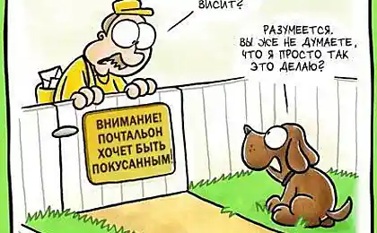 Теперь ясно