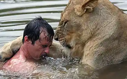 Водные процедуры со львом