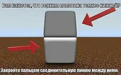 Занятная иллюзия