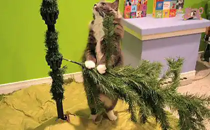 Я вбити тебе!