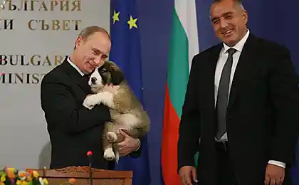 А вы всё кошки, кошки!