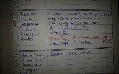 Привёл бомжа на урок!