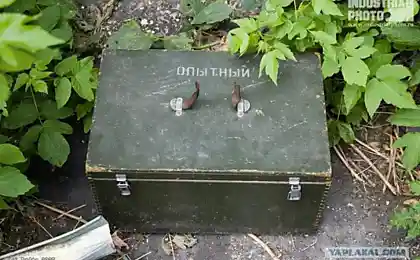 Заброшенная лаборатория нейронной структуры мозга