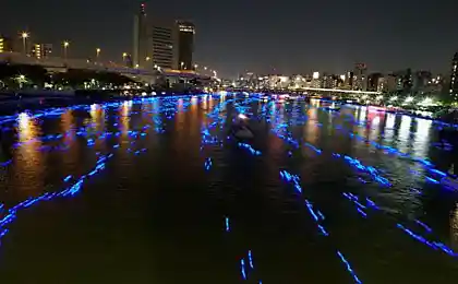 В Токио украсили реку (8 фотографий)