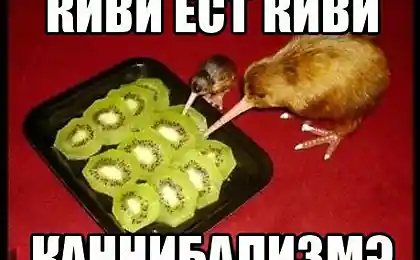 А на вид такие мирные...