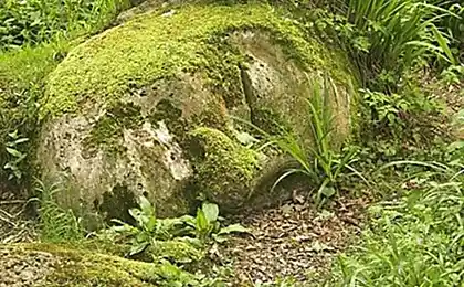 Загублені сади в Heligan ...