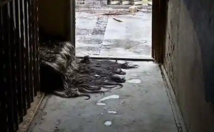 Странное хобби (6 фото)