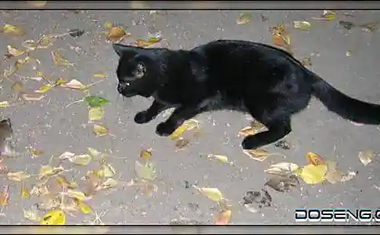 Редкие кадры