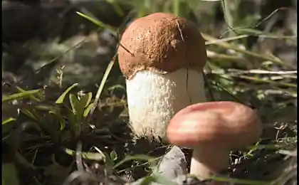 Как я ждал это время!