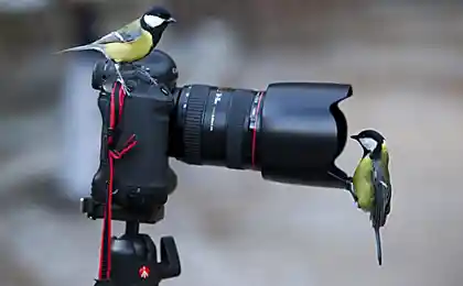 Сфотаемся на паспорт?