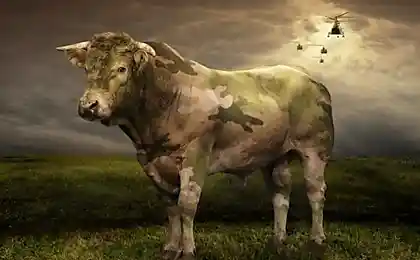 Fotoshop-звери